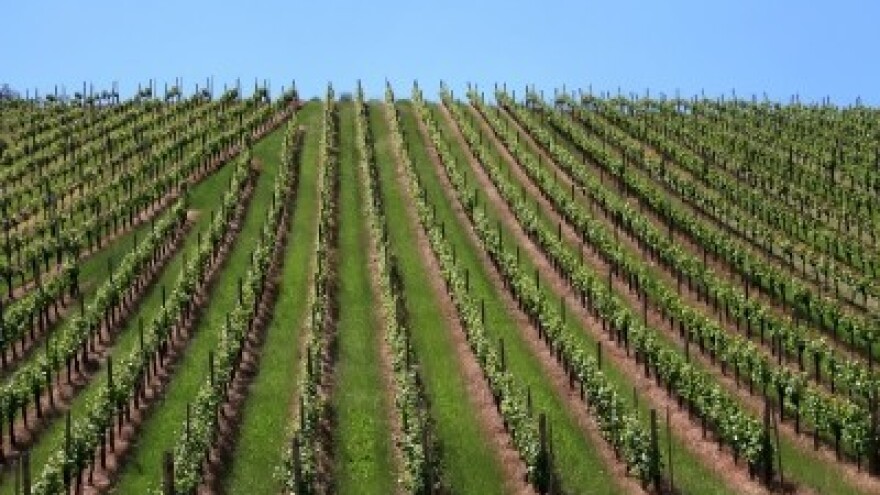 Izgledi za Hrvatsku za 20.03.2015-22.03.2015