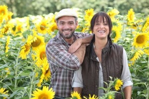 Osvrt na proljetnu sjetvu i agrotehnika u svibnju