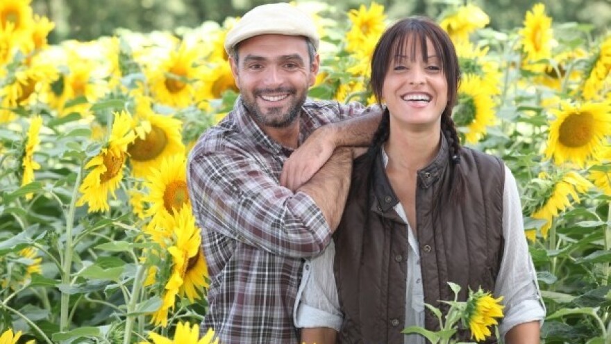 Osvrt na proljetnu sjetvu i agrotehnika u svibnju