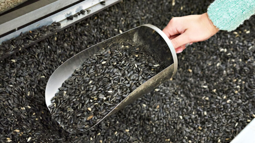 U studenom se više plaćalo za soju i suncokret