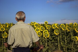 Od milion hektara na raspolaganju, pola je neobrađenog