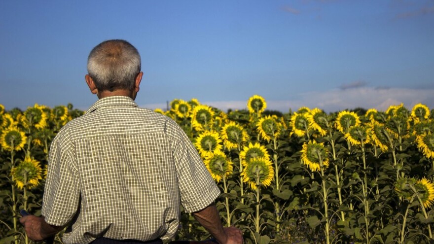 Od milion hektara na raspolaganju, pola je neobrađenog