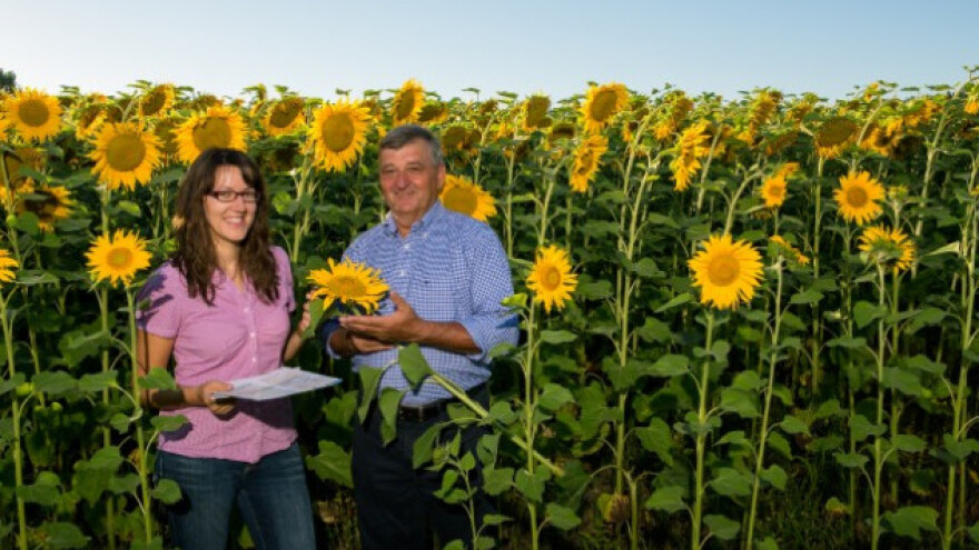 Jesenska gnojidba ratarskih kultura