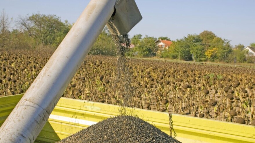 Poljoprivrednici se nadaju da će otkupna cena soje biti 50, a suncokreta 40 dinara