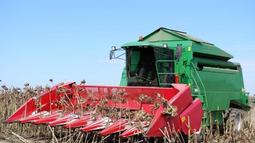 Repa je out - uljarice su in!