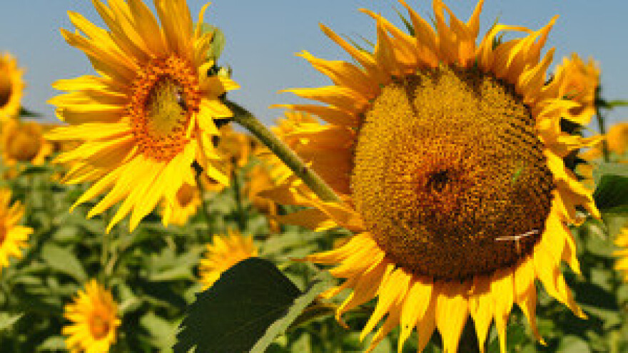 Novi Savez poljoprivrednih udruga