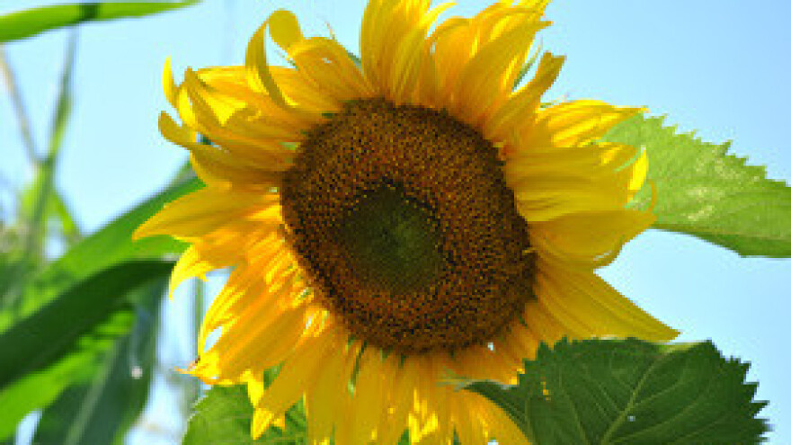 Hrvatski i francuski poljoprivrednici traže veći proračun