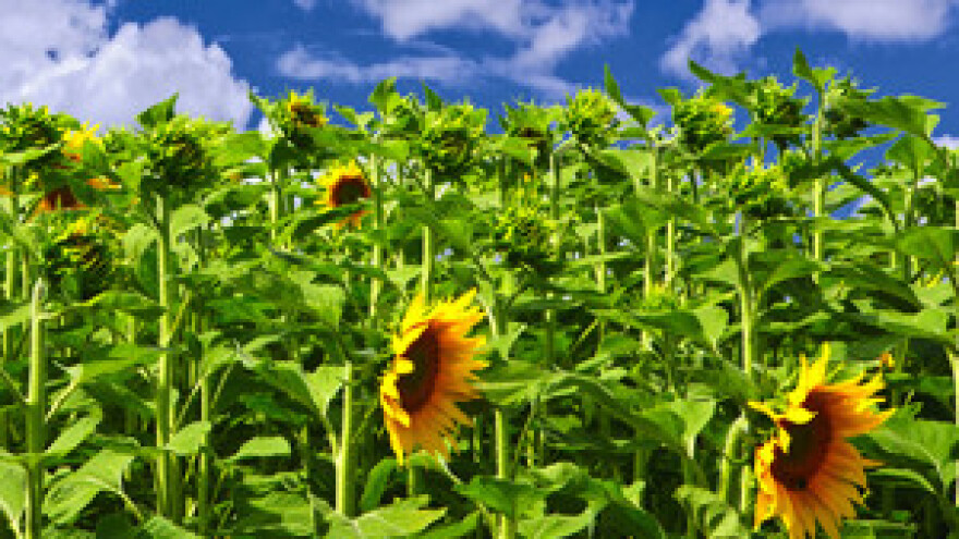 Dani otvorenih vrata Ekološkog poljoprivrednog gospodarstva Sever