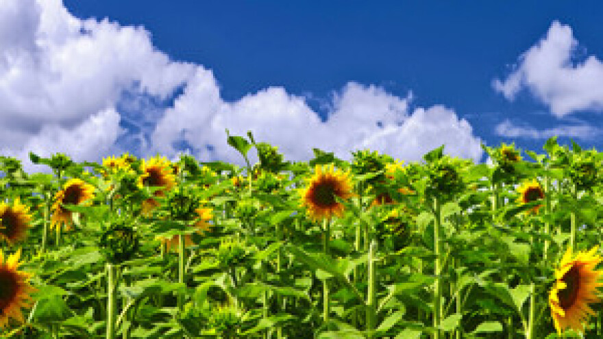 Sustav navodnjavanja - najveći u Hrvatskoj