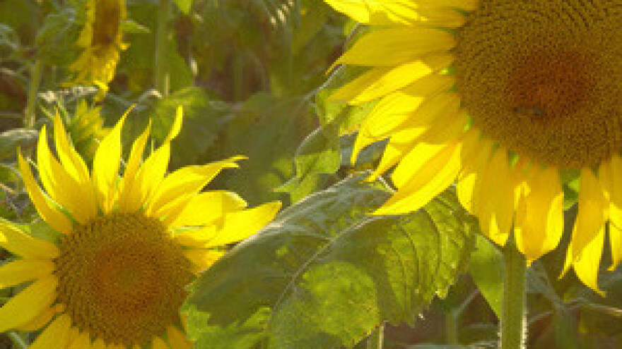 Radionica u svezi primjene Zakona o poljoprivrednom zemljištu