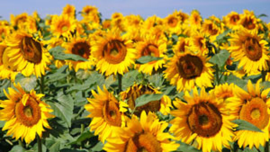 Krediti za razvoj poljoprivrede i agroturizma