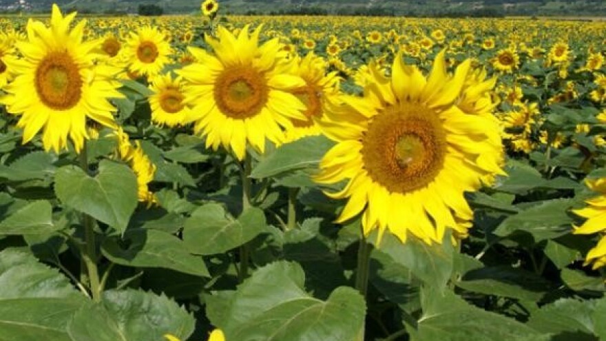 Hrvatskoj 3,5 milijardi eura iz EU fondova