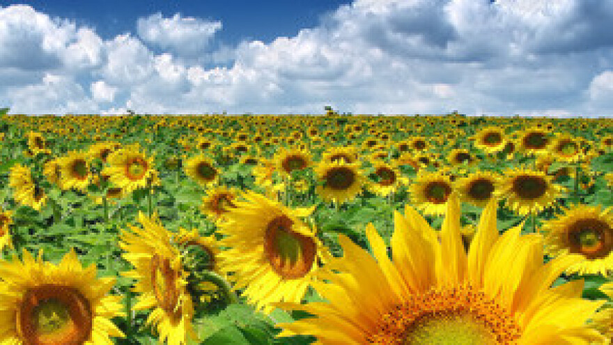 Čobanković na Neformalnom sastanku ministara poljoprivrede EU