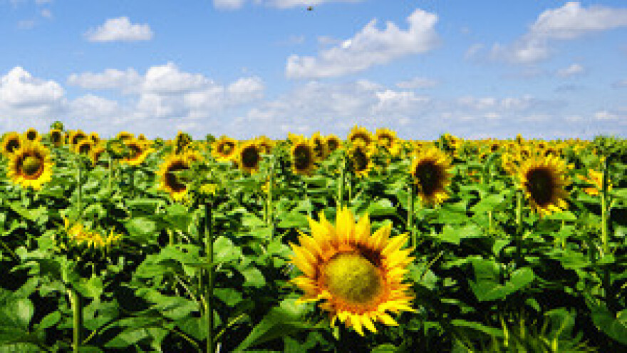 Natječaj za poticaje u poljoprivredi