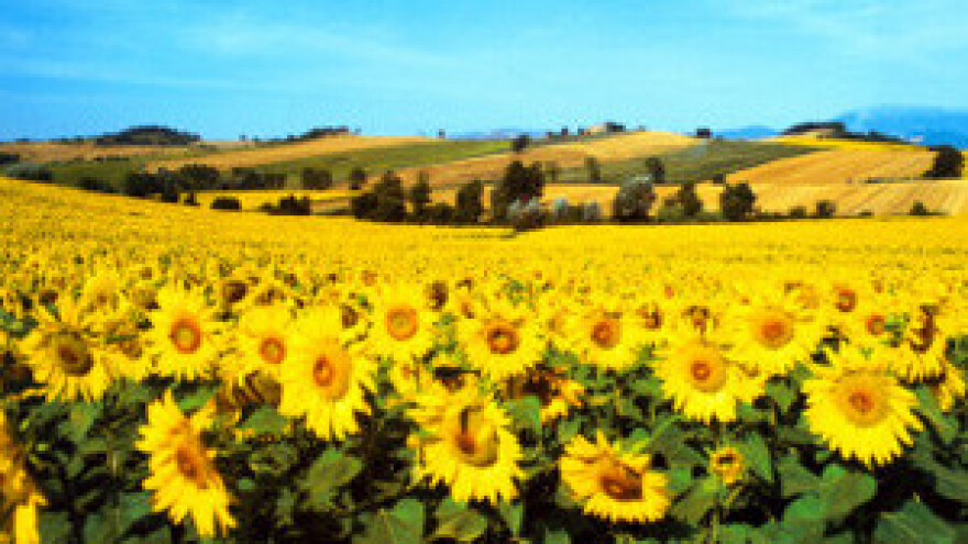 Reforma poljoprivredne politike EU-a