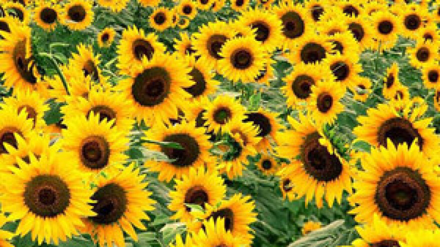 Osječka županija sufinancira projekte navodnjavanja