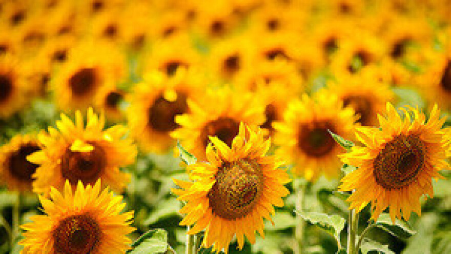 Teško stanje u poljoprivredno-prehrambenom sektoru