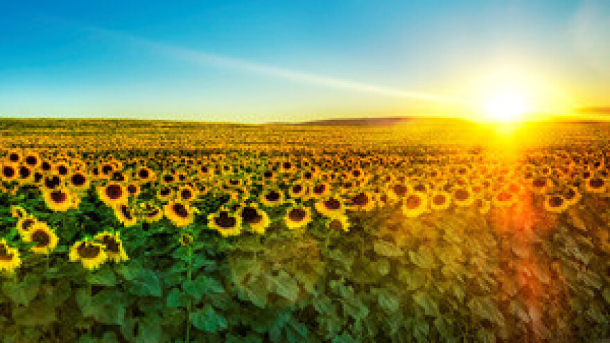 Započinje zaprimanje zahtjeva za potporama u poljoprivredi