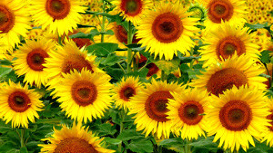 Priručnik za poljoprivredna gospodarstva