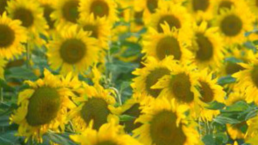 15. svibnja  - zadnji dan za podnošenje zahtjeva za potporom