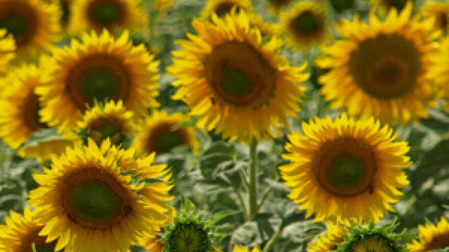 Za korisnike IPARD-a kamata samo 1%