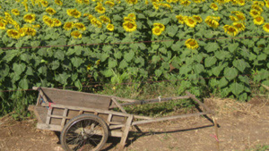 Banke profitirale na državnim poticajima poljoprivrednicima