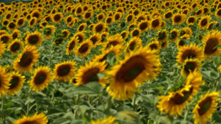 Država slavonskim županijama otima čak 40 milijuna kuna