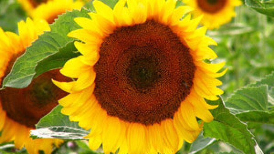 Poljoprivredna komora otvara ured za pravnu pomoć poljoprivredicima