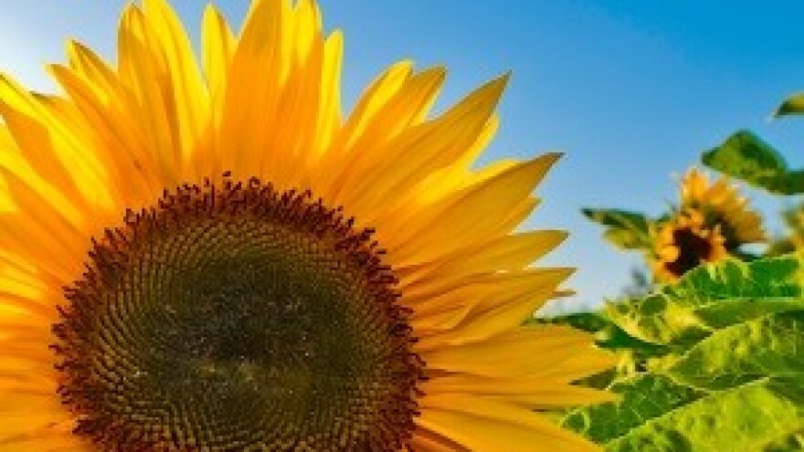 Svečanost zatvaranja twinning light projekta IPA FPP RAC 2008