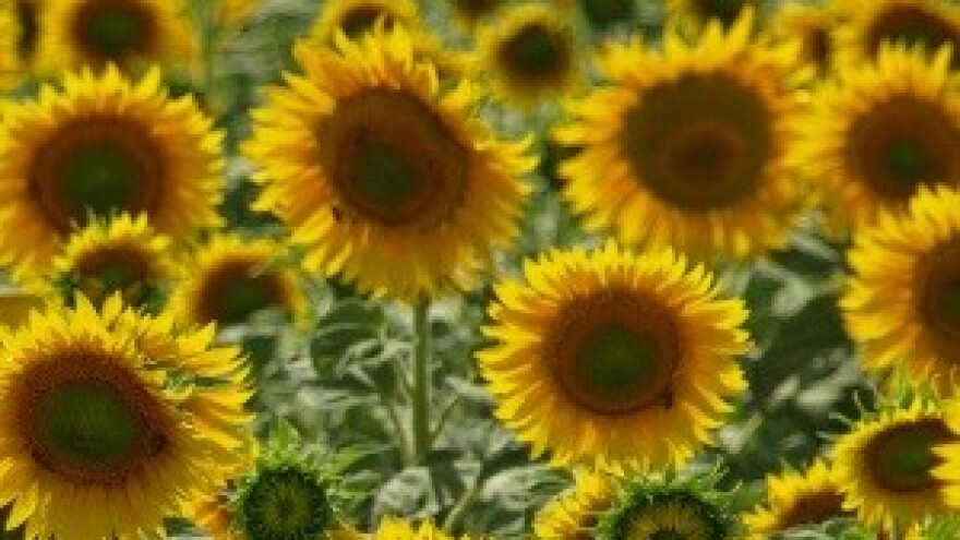 Informativna kampanja o načinu ostvarivanja potpora u 2013. godini