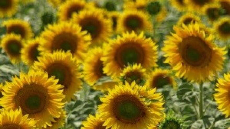 Ministar Jakovina na radnom sastanku s ministrima poljoprivrede regije