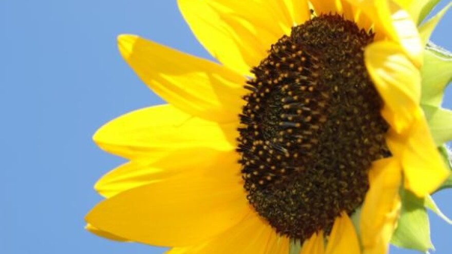 Slab odaziv na stručne edukacije