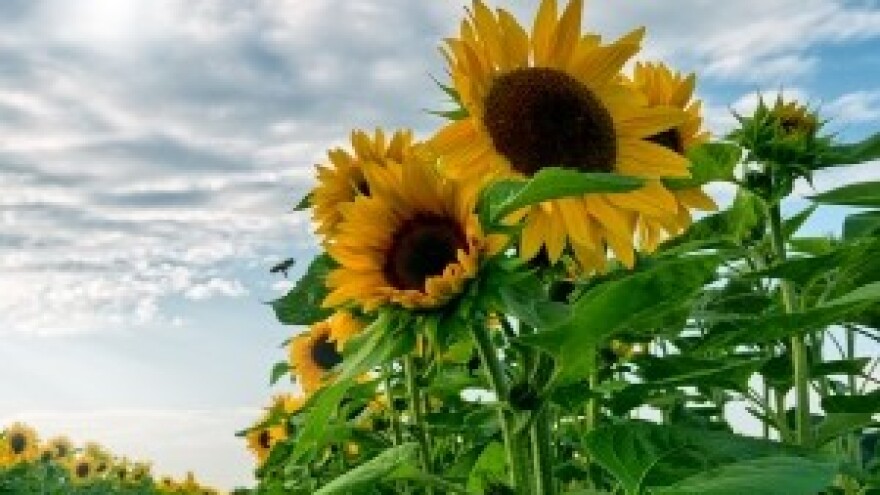 Administracija potroši svaku četvrtu kunu