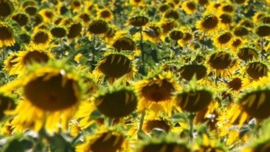 Oranice najčešća nekretnina u kupoprodaji