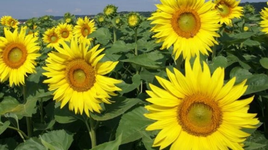 Usklađivanje Zakona o poljoprivrednim potporama