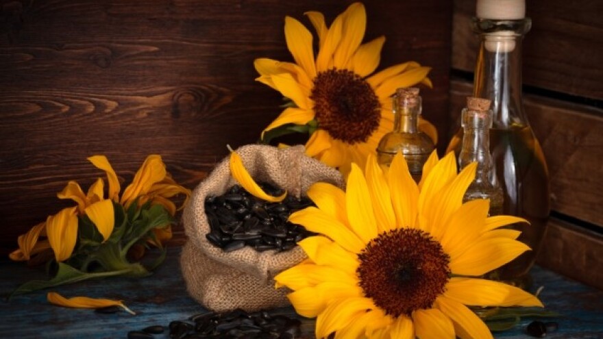 Organska hrana - ljubav iz mlađih dana