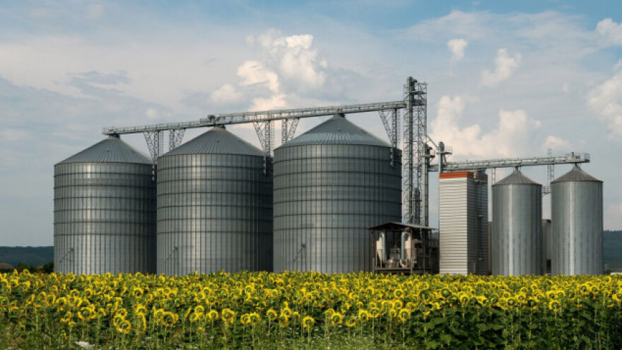 Ukrajina širi izvoz suncokreta