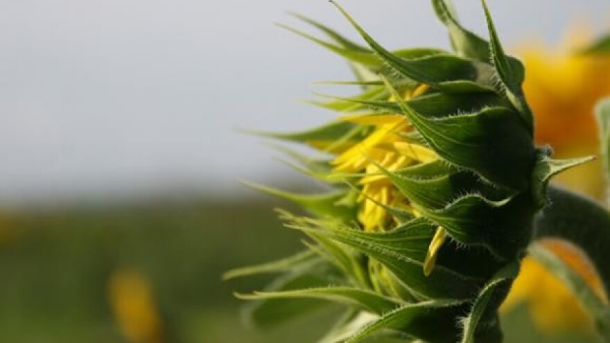 Hrvatska se okreće integriranoj poljoprivredi