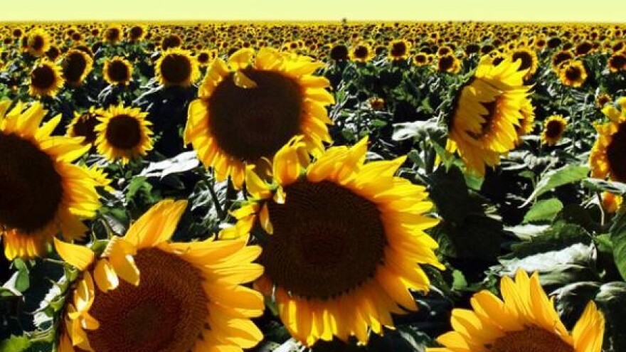 Priprema za korištenje poljoprivrednih fondova EU-a