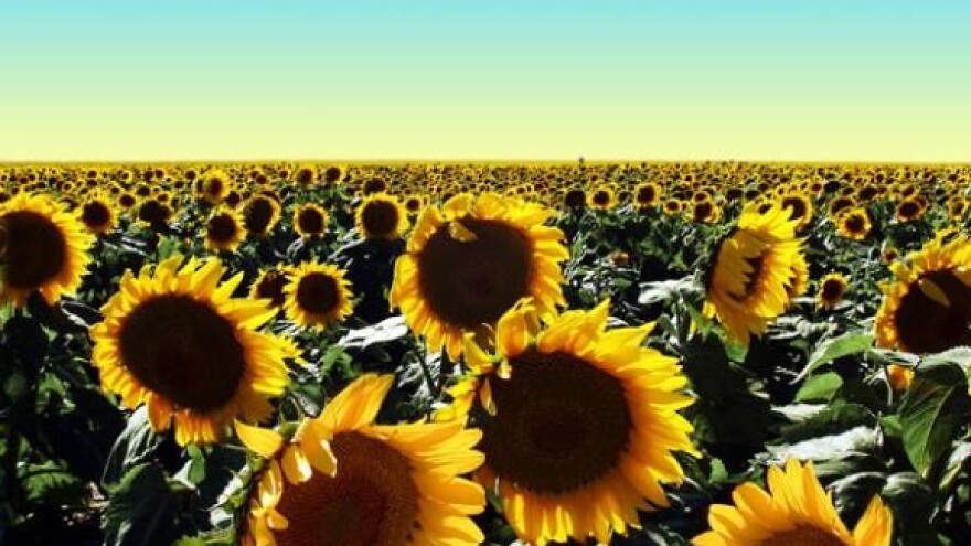 Miroljubiva poljoprivreda