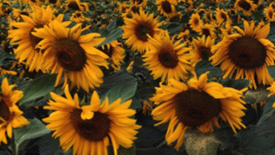 Poljoprivrednoj komori pripojenje Savjetodavne službe