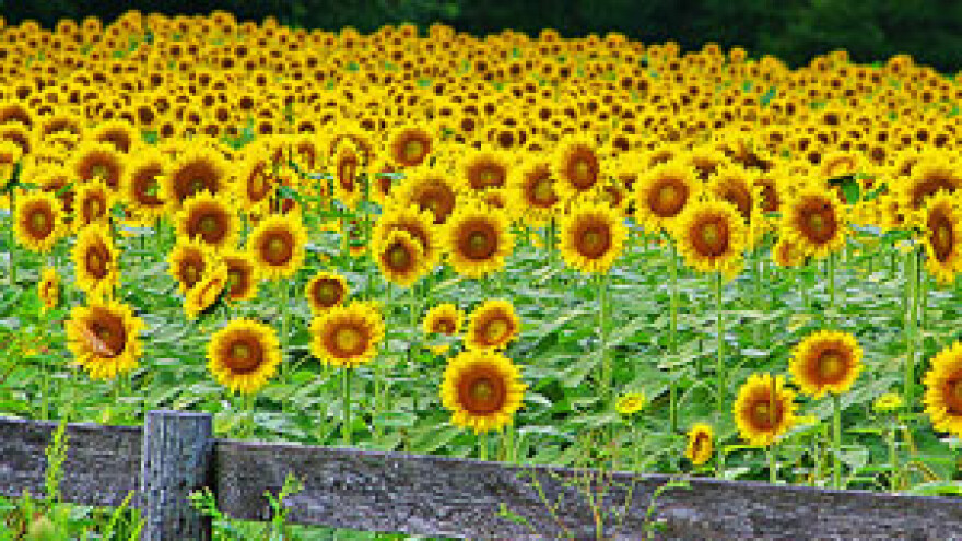 Ogorčeni poljoprivrednici