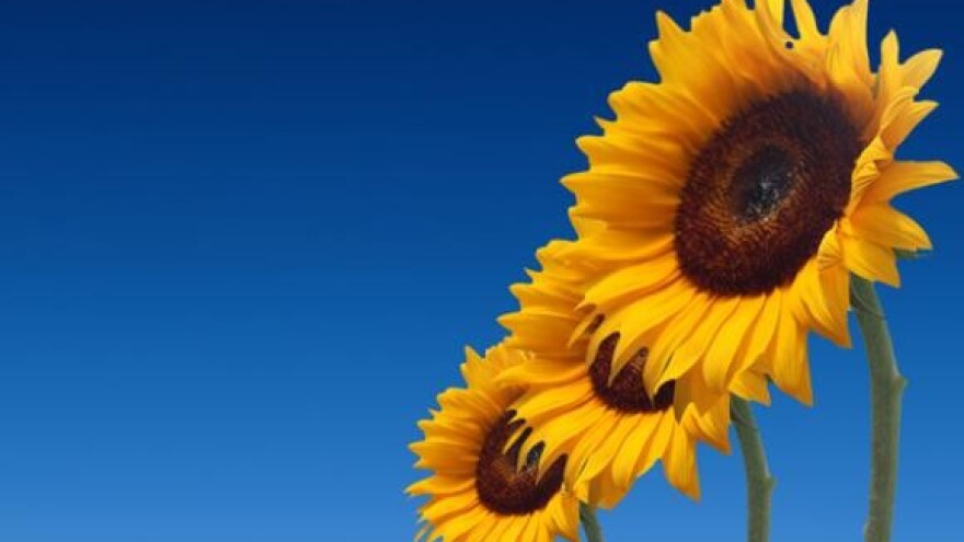 Laslo protiv poljoprivrednih prosvjeda