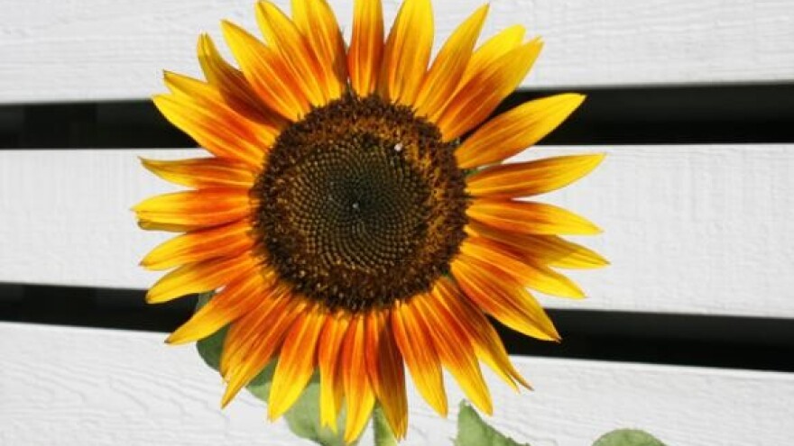 Grivičić: nepotrebni zakoni u Hrvatskoj