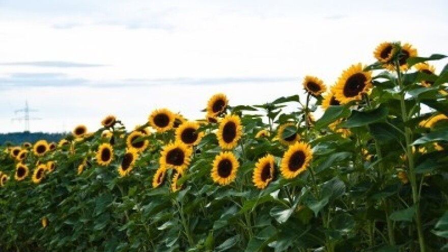 Izgledi za Hrvatsku za 26.09.2014-28.09.2014