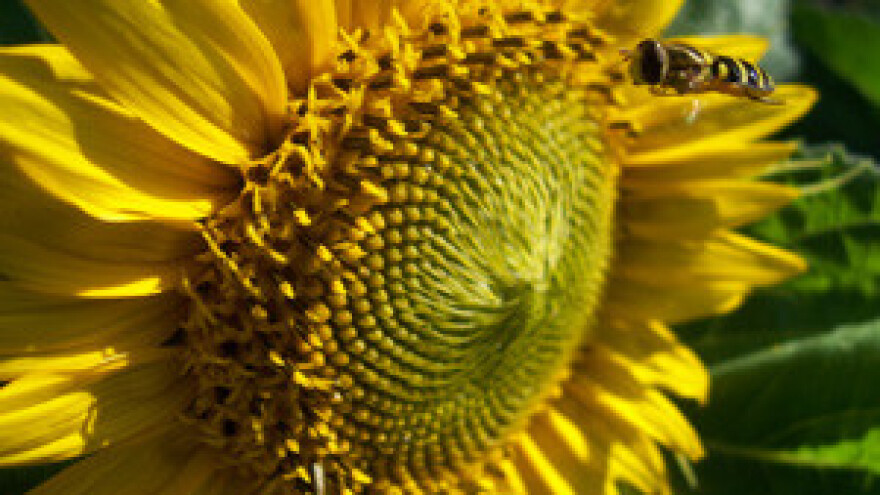 Predsjednik HPK-a Darko Grivičić sastao se s načelnicima