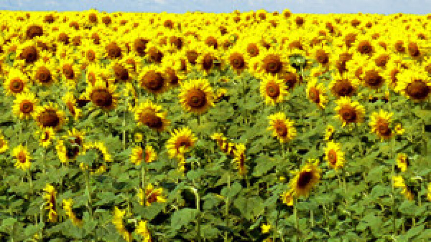 Brlošić: Želimo poljoprivrednike zaštititi od manipuliranja