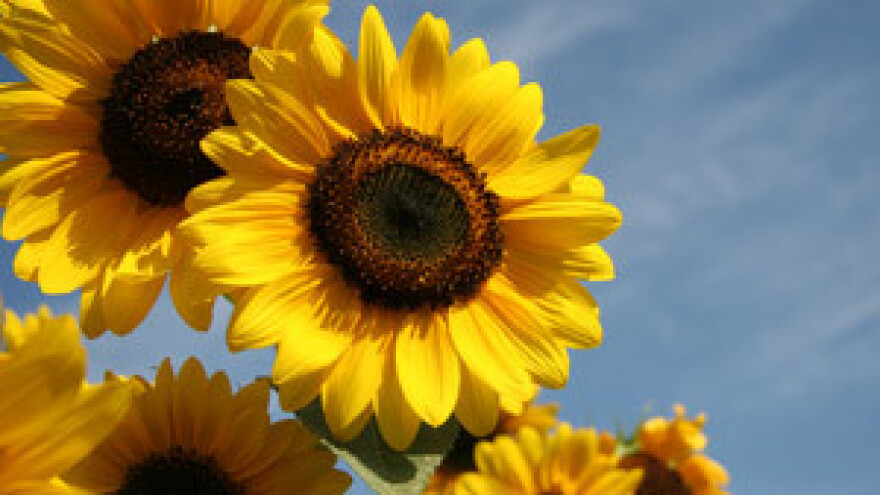 Čobanković na 13. poljoprivredno-poduzetničkim idejama 2011.