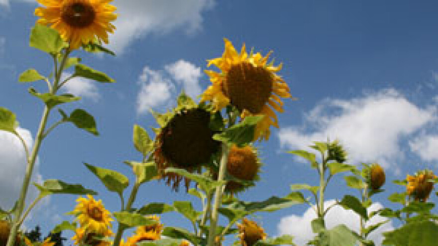 Predavanja za poljoprivrednike