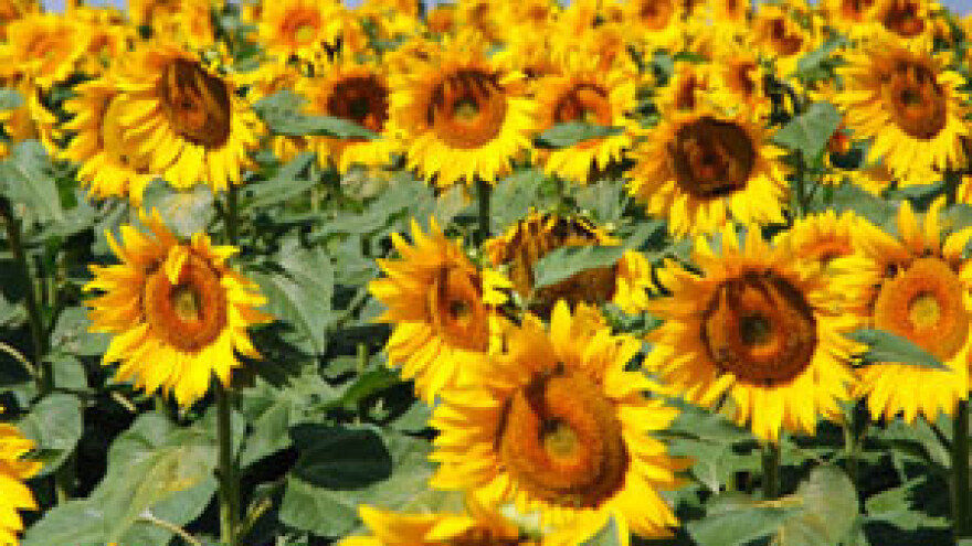 Promašena agrarna politika